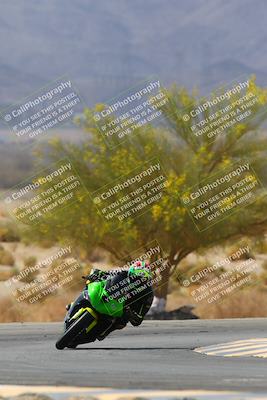 media/Apr-10-2022-SoCal Trackdays (Sun) [[f104b12566]]/Turn 5 Tree of Life (1040am)/